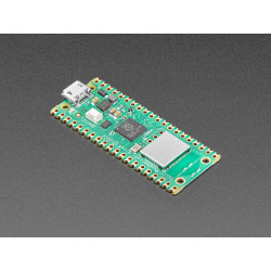 Raspberry Pi Pico W