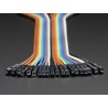 Nappe de 20 jumpers premium Male - Femelle (150mm) Nappe de 20 jumpers premium Male - Femelle (150mm)