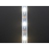 Ruban LED RGBW étanche 60 NeoPixel de 1m Ruban LED RGBW étanche 60 NeoPixel de 1m