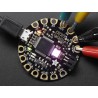 Adafruit Flora v3 Adafruit Flora v3