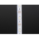 Ruban LED RGBW Blanc NeoPixel de 1m 