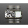 Adafruit Feather M0 LoRa 900 MHz Adafruit Feather M0 LoRa 900 MHz